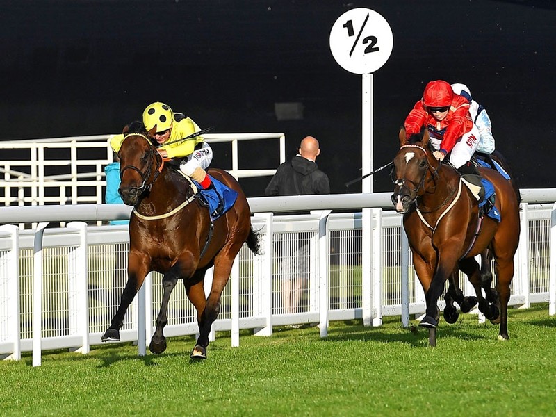 Preview: Gr.1 Diamond Jubliee Stakes 2021 (Preview, Full ... Image 3